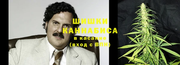 бошки Ельня