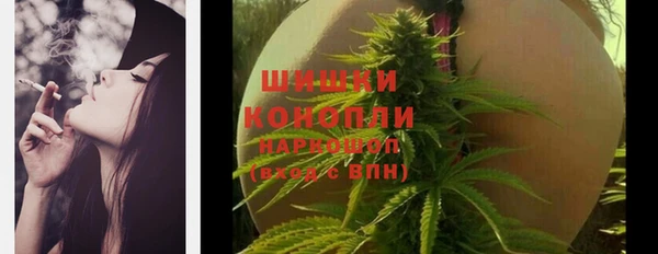 бошки Елизово