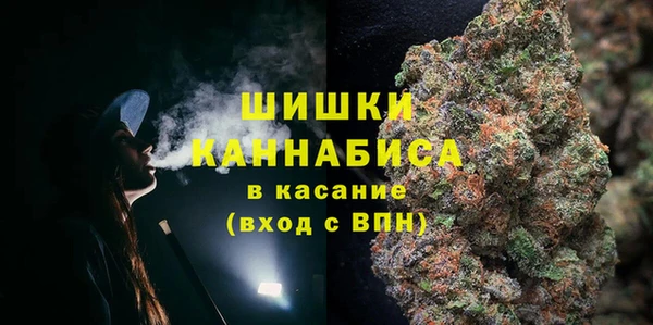 амф Елабуга