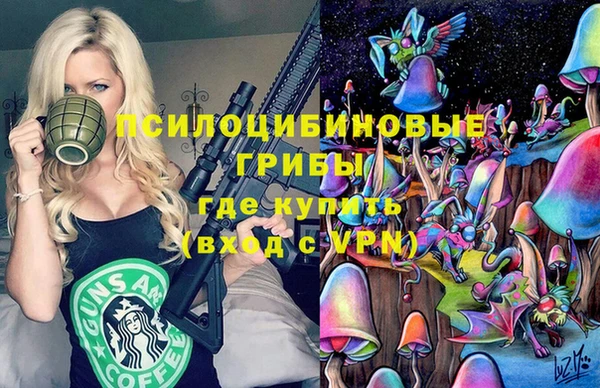 бошки Елизово