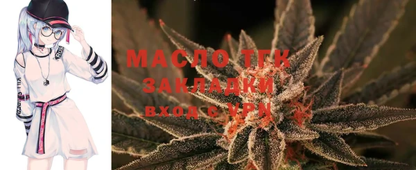 бошки Ельня