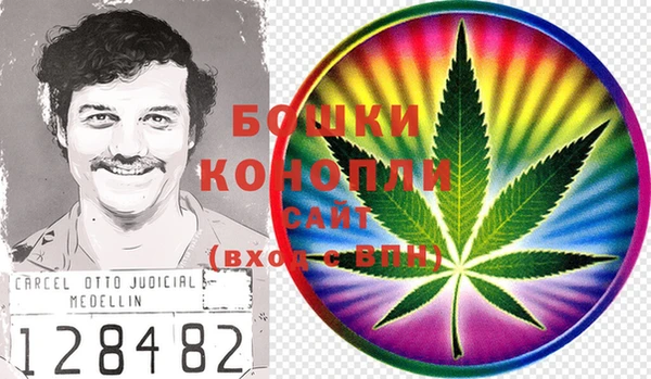 амф Елабуга