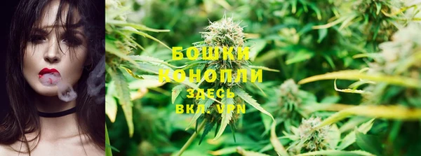 амф Елабуга