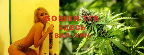 бошки Ельня