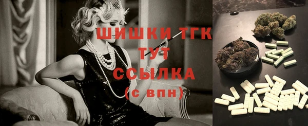 бошки Ельня