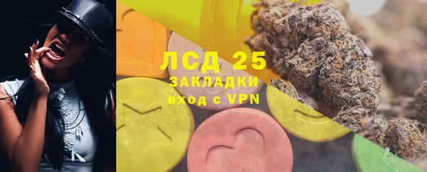 бошки Ельня