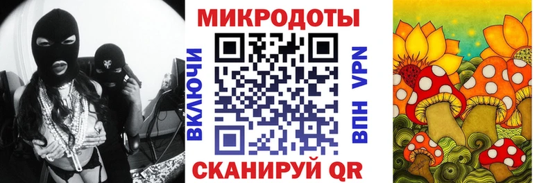 Купить где  Заозёрный  Псилоцибиновые грибы Psilocybe 